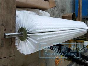 皮帶清掃器用毛刷輥